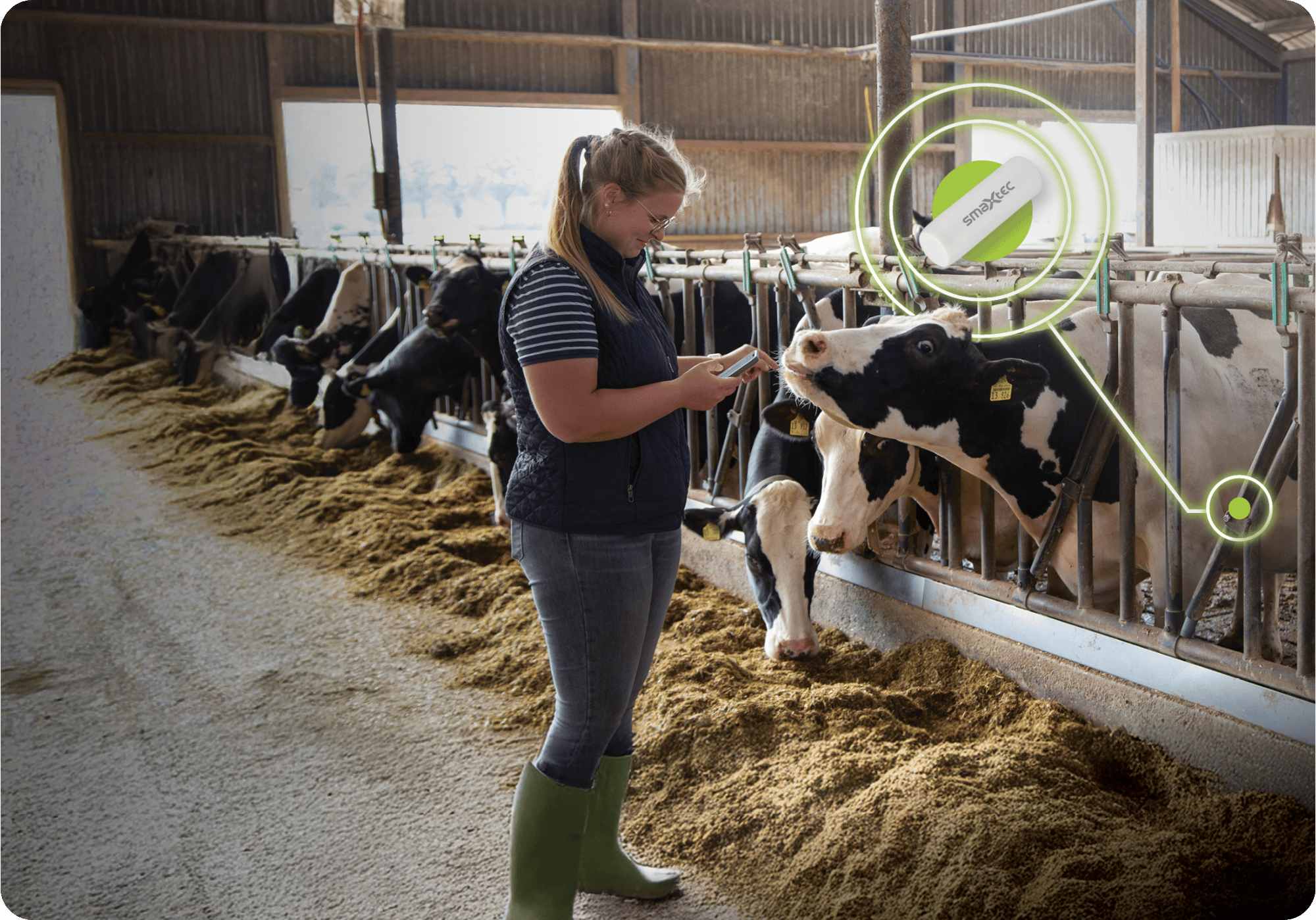 Untitled design (12)